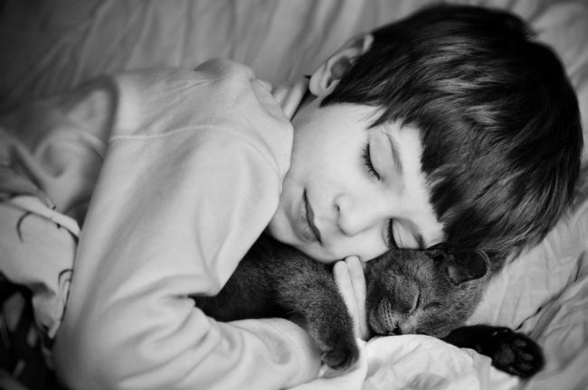 Foto që tregojnë dashurinë e kafshëve për fëmijët