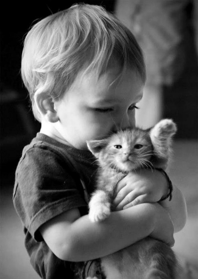 Foto që tregojnë dashurinë e kafshëve për fëmijët