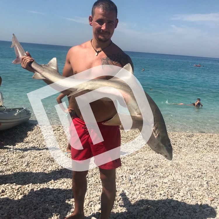 Peshkaqeni bie në rrjetën e peshkimit, panik mes pushuesve në Sarandë (FOTO)